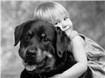Tips to Keep Kids Safe Around Dogs in the House