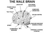 Tips Every Women Should Know About How Men Think, React and What They Say