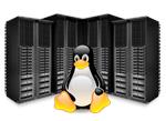 Linux: An evolving trend that is high on demand