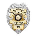 National Security & Protective Services Inc