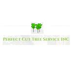 Perfect Cut Tree Service