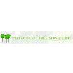 same-day dumpster service cincinnati