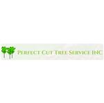 tree cutting services dayton oh
