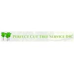 southwest oh tree services