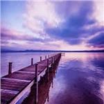 alzheimer's therapy
