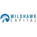 Financing and Insurance Agents