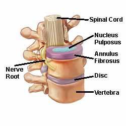 Various techniques which may include physical therapy.