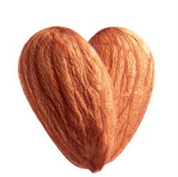 Almonds Help Lowering Blood Cholesterol