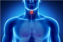 How to Optimize Thyroid Function?