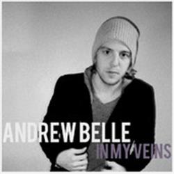 In My Veins By Andrew Belle (feat. Erin McCarley) - Single